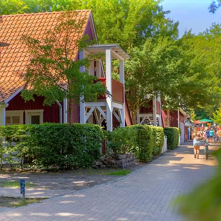 Daire Duenenhaeuser Unserusedomde Ca40qm Direkt Am 2i1